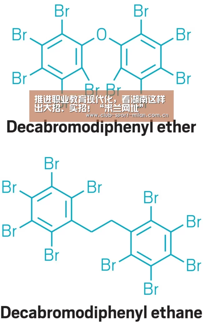 推进职业教育现代化,看湖南这样出大招、实招!“米兰网址”(图2) 米兰网址